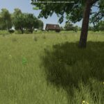 Growing Random Trees2
