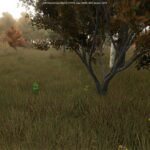 Growing Random Trees3