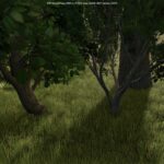 Growing Random Trees4