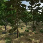HUTAI FOREST3