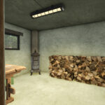 Little Old Henhouse With Silo3