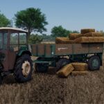 Lizard D44