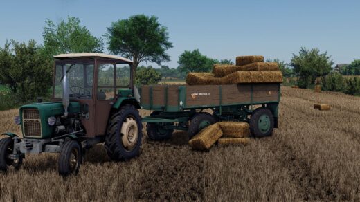 Lizard D44