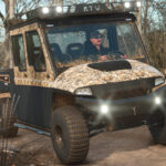 Lizard RTV Max 40005