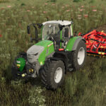 Lizard Type 243