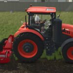 Maschio Daino DS