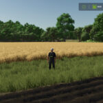 Minimap Plus3