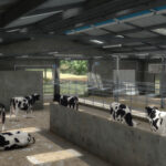 Modernized Cowshed4