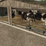 Old Cow Sheds