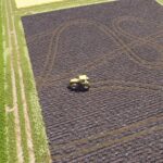 Persistent Tire Tracks