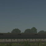 Pigshed2