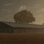 Pigshed5