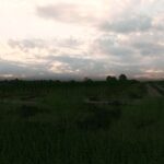 Real Sky (remake) V1.0