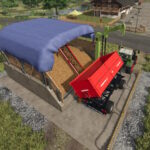 Root Crop4