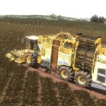 Ropa Tiger 6S Multifruit4