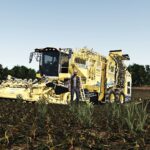 Ropa Tiger 6S Multifruit5