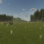 Rustic Roots3
