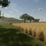 Rustic Roots5