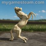 Sculptures Pack3