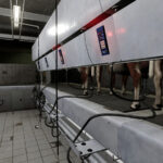 The Mechet Farm Pack5