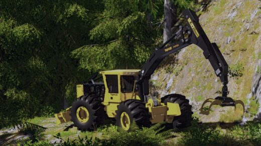 Tigercat Crane Skidder