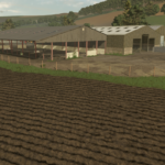 UK Large Beef Unit3