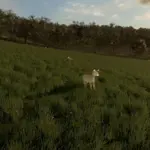Animal Ground Placement Fix v1.0