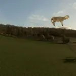 Animal Ground Placement Fix v1.02
