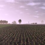 BTTm Reshade Preset4