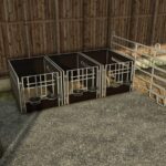 Calf Box2