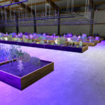 Commercial Grow Shed5
