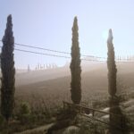 Cypress2