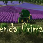 Fazenda Primavera