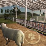 Fenceless Sheep Pasture5