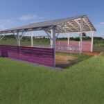 Fenceless Sheep Pasture6