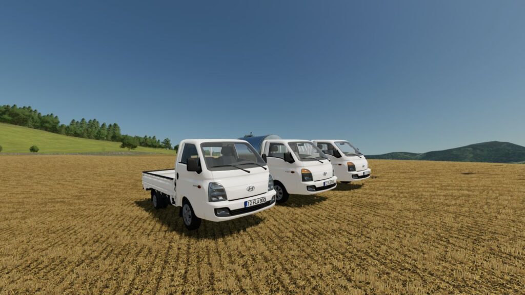 Hyundai H100