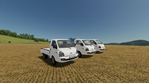 Hyundai H100
