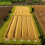 Increase straw yield