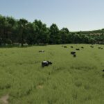 Livestock Visibility