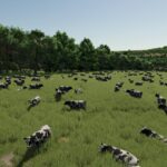 Livestock Visibility3