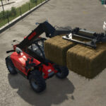 Lizard DN 28003