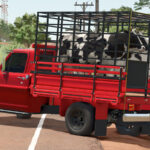 Lizard F100 V8 19752