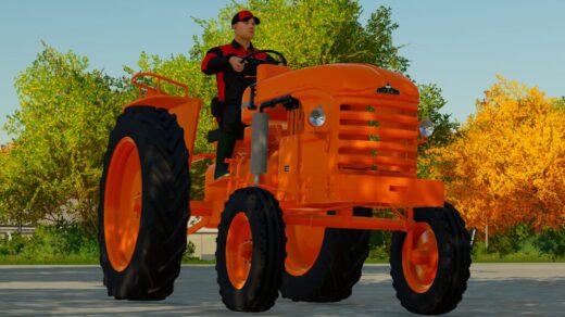 Lizard d222