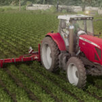 MF 84006