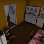 Medium-Sized Old House3