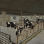 Old White Cowbarn3
