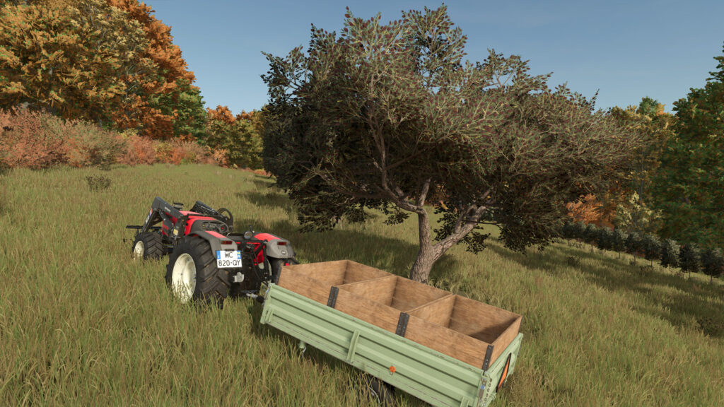 Olive Harvest Trailer
