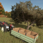 Olive Harvest Trailer