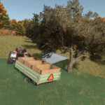 Olive Harvest Trailer2