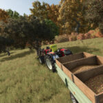 Olive Harvest Trailer4
